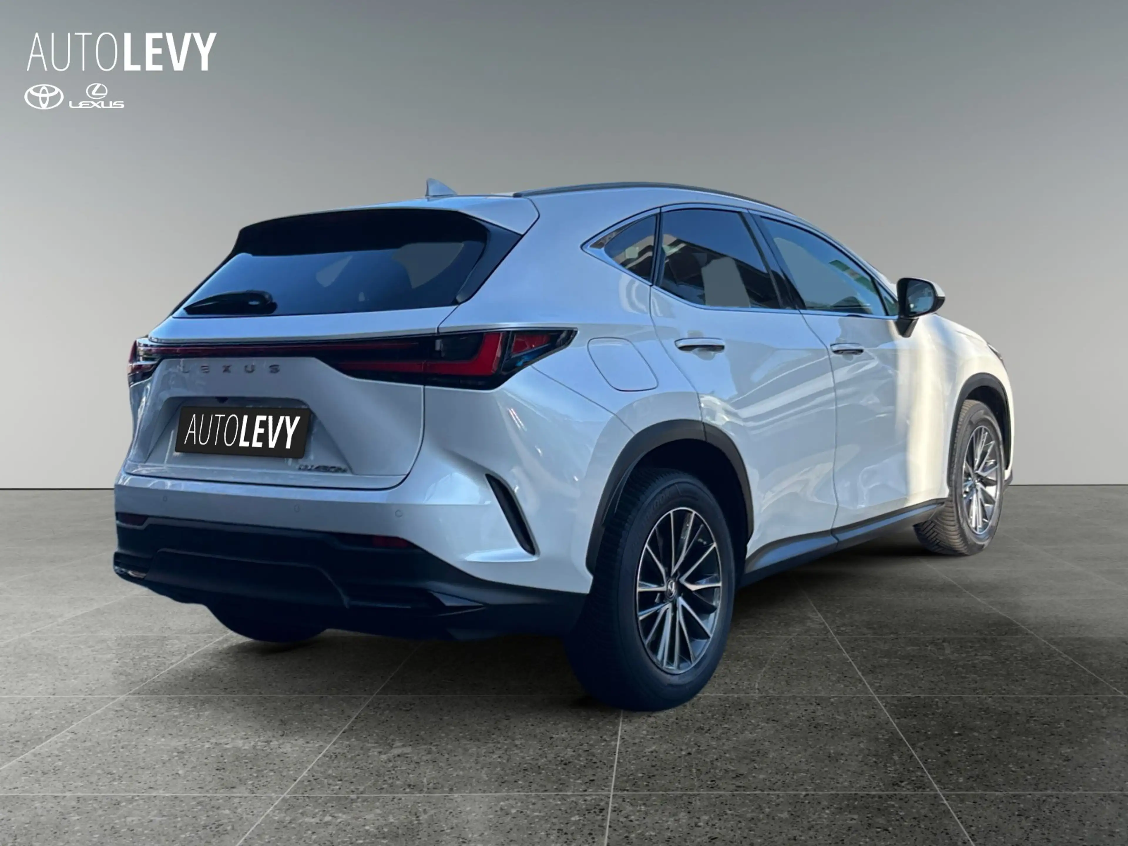 Lexus NX 450h+ E-Four Executive Line NAVI/LED/ACC — photo 5