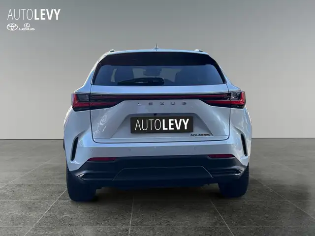 Lexus NX view 5