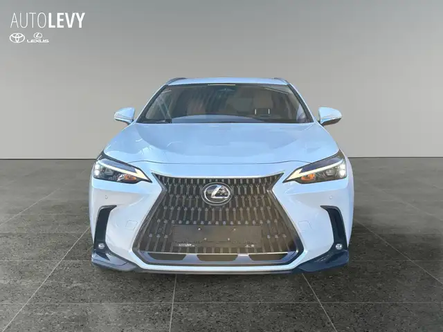 Lexus NX view 9