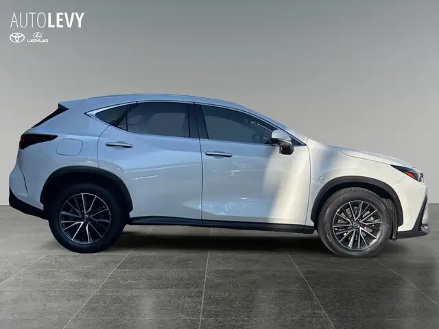 Lexus NX view 7