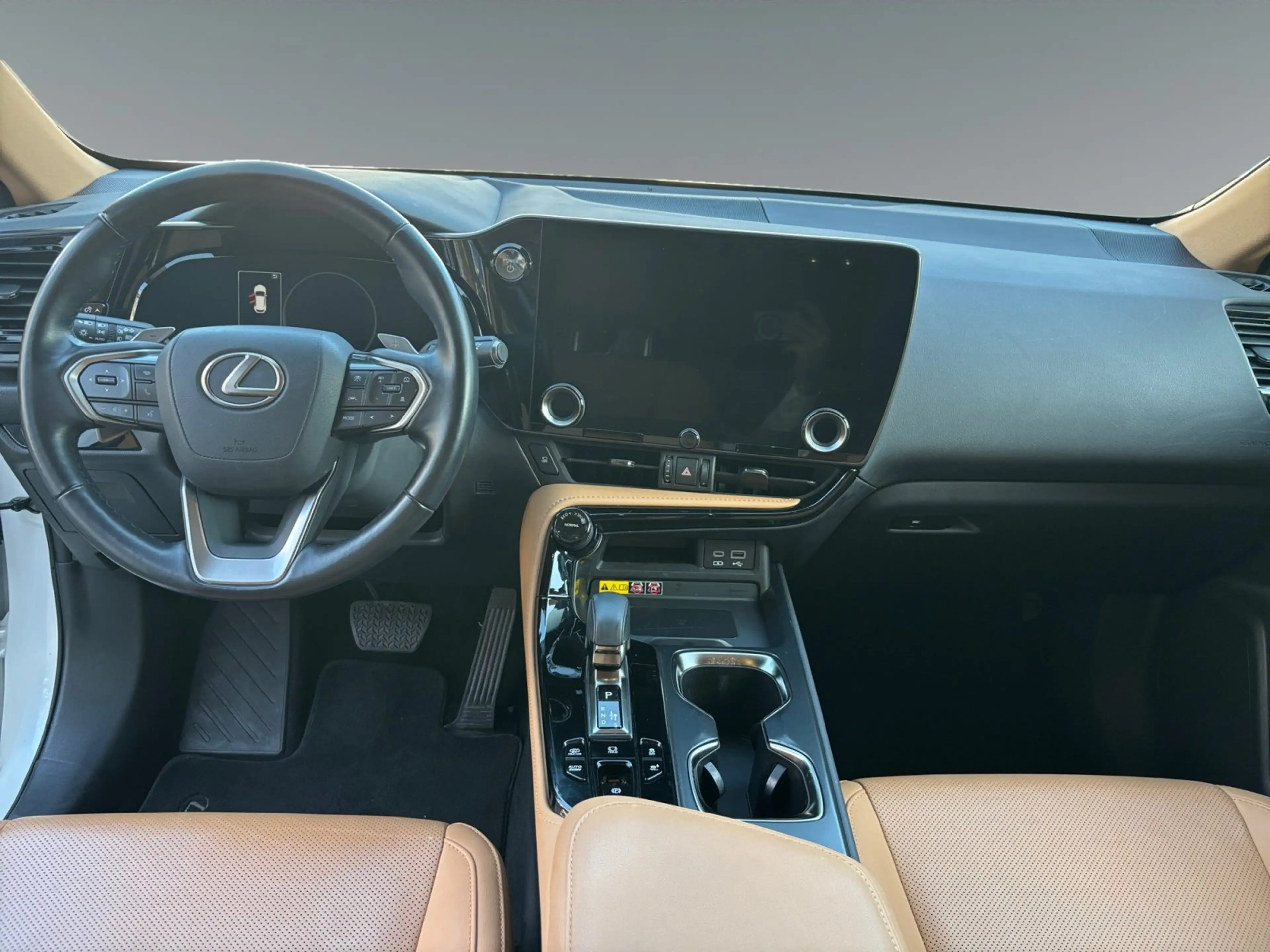 Lexus NX 450h+ E-Four Executive Line NAVI/LED/ACC — photo 9