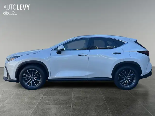 Lexus NX view 3