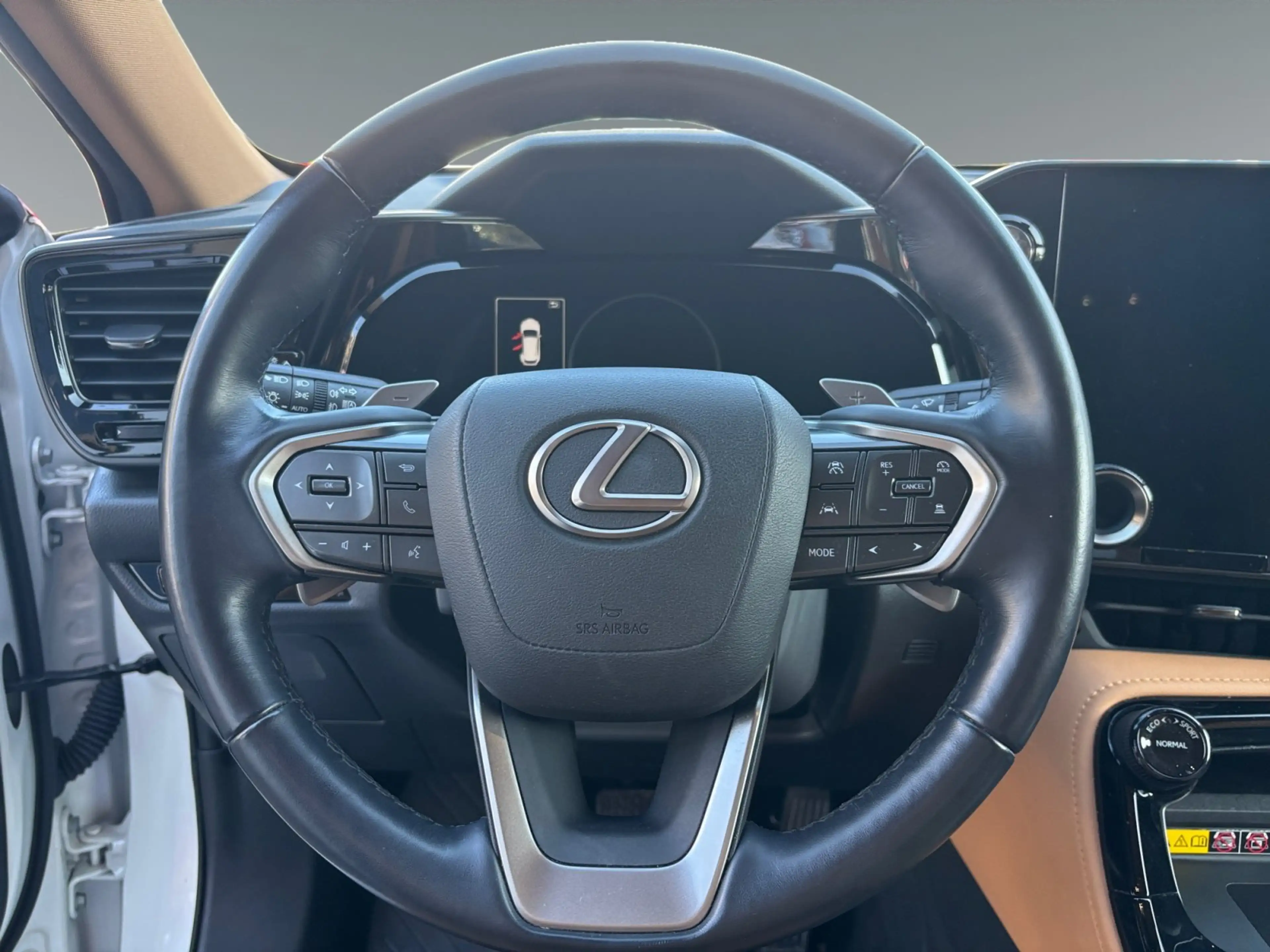 Lexus NX 450h+ E-Four Executive Line NAVI/LED/ACC — photo 11