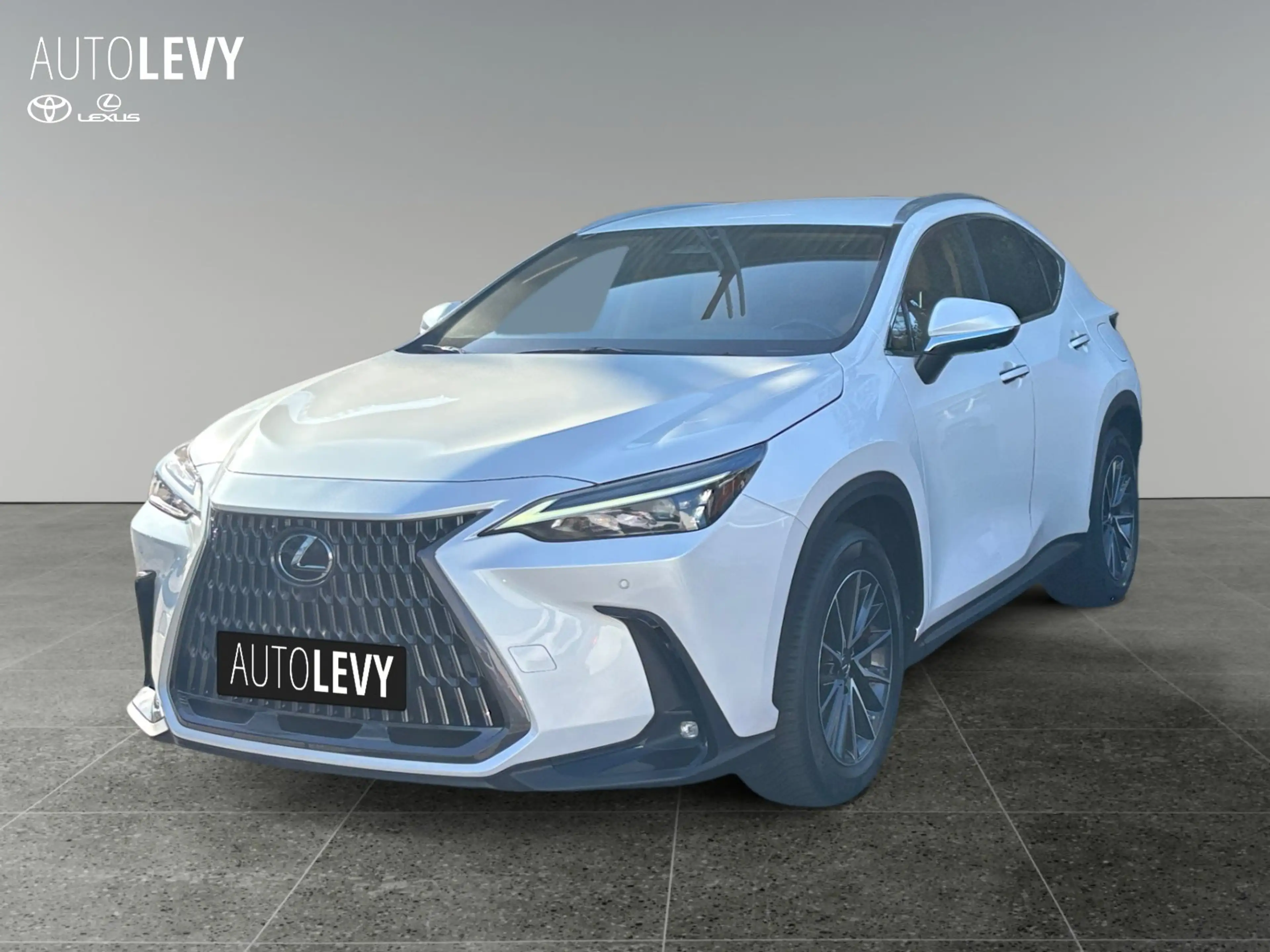 Lexus NX 450h+ E-Four Executive Line NAVI/LED/ACC — photo 2