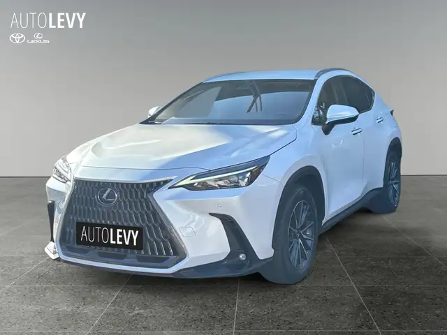 Lexus NX view 2