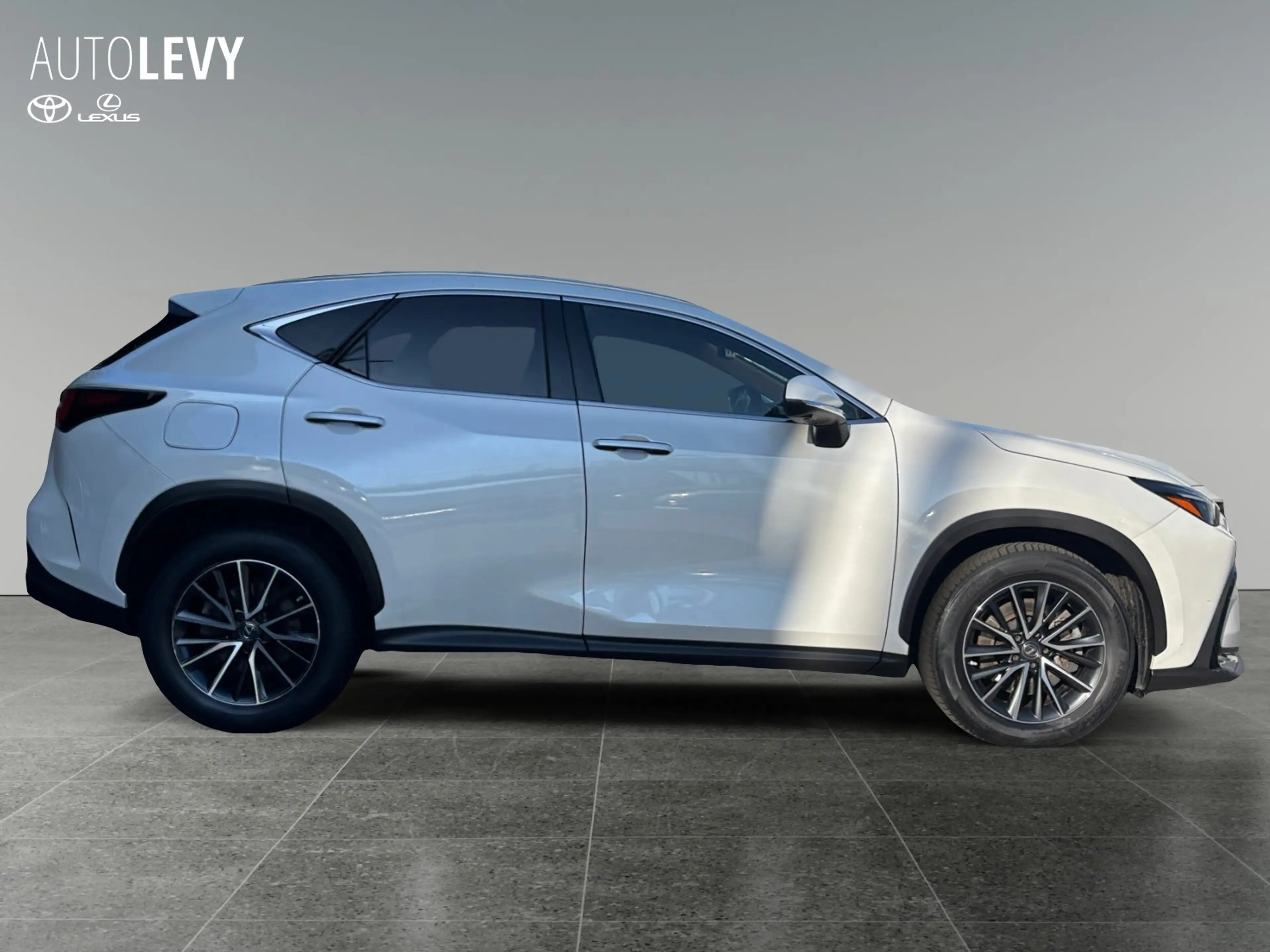 Lexus NX 450h+ E-Four Executive Line NAVI/LED/ACC — photo 6