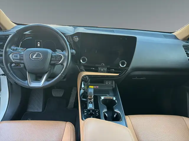 Lexus NX view 11