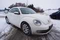 Volkswagen Beetle 1,2 TSI Design Weiß - thumbnail 5