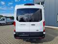 Ford Transit 350 Kombi 9 Sitze L3 AG Trend AHK KAMERA Klima Biały - thumbnail 25