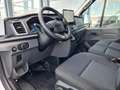 Ford Transit 350 Kombi 9 Sitze L3 AG Trend AHK KAMERA Klima Biały - thumbnail 8