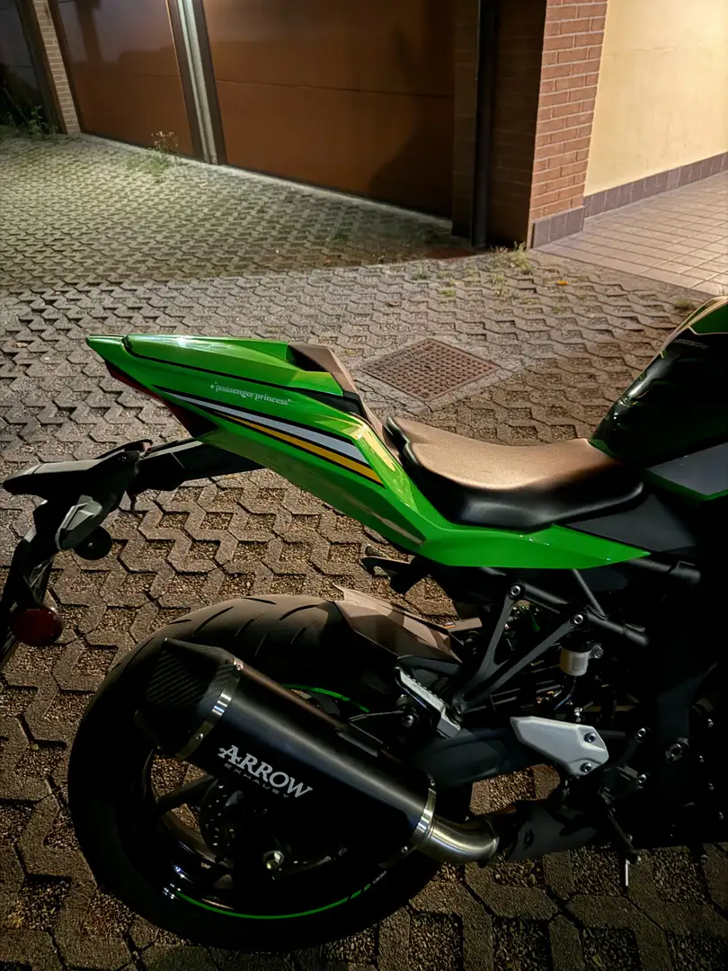Kawasaki Ninja ZX-4RR Performance Verde - 2