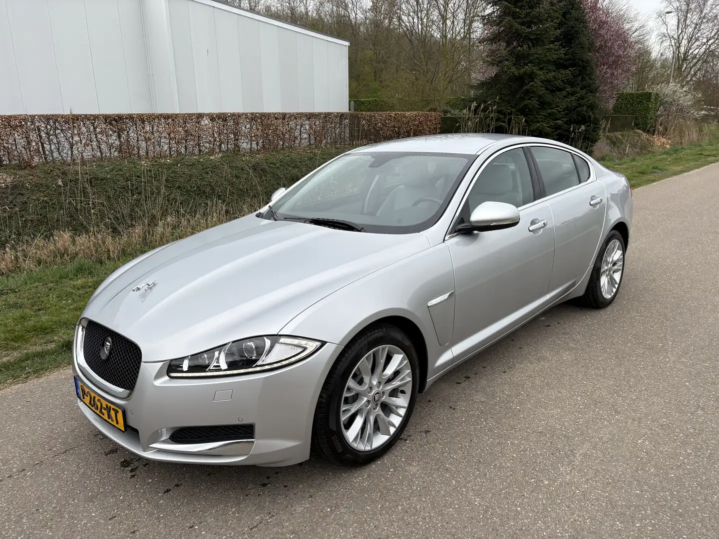 Jaguar XF 3.0D S Premium Business Edition / AUTOMAAT / NAVI Grau - 2