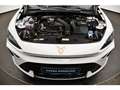 CUPRA Formentor 1.5 eTSI 110 kW Weiß - thumbnail 12
