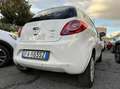 Ford Ka/Ka+ Ka II 3p 2009 Ka 1.2 + 69cv E6 Bianco - thumbnail 4
