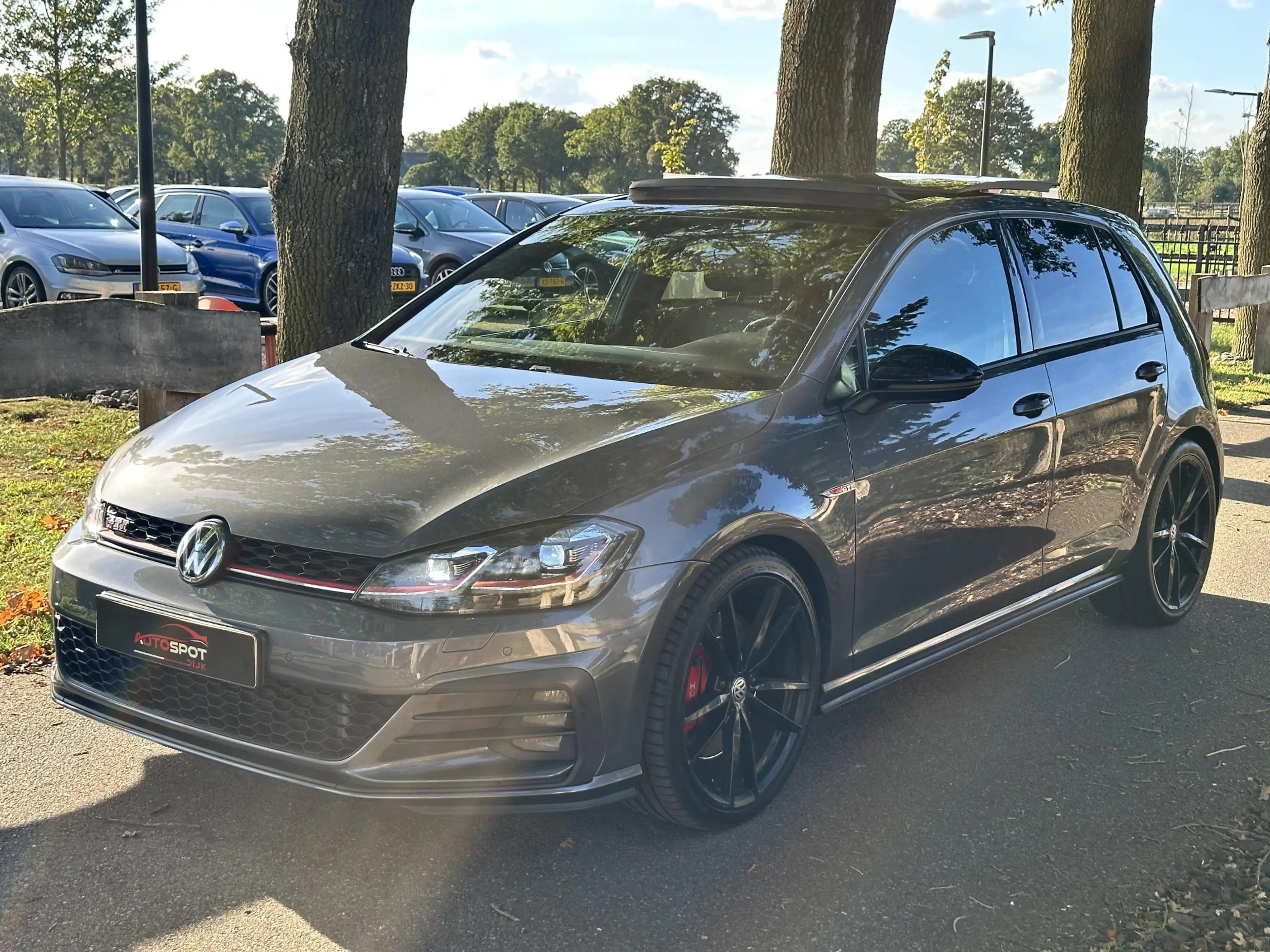 Volkswagen Golf GTI 2.0 TSI Performance — photo 9