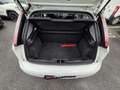 Fiat Punto 5p 1.3 mjt 16v Street 75cv E5+ Blanc - thumbnail 12
