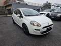 Fiat Punto 5p 1.3 mjt 16v Street 75cv E5+ Blanc - thumbnail 6