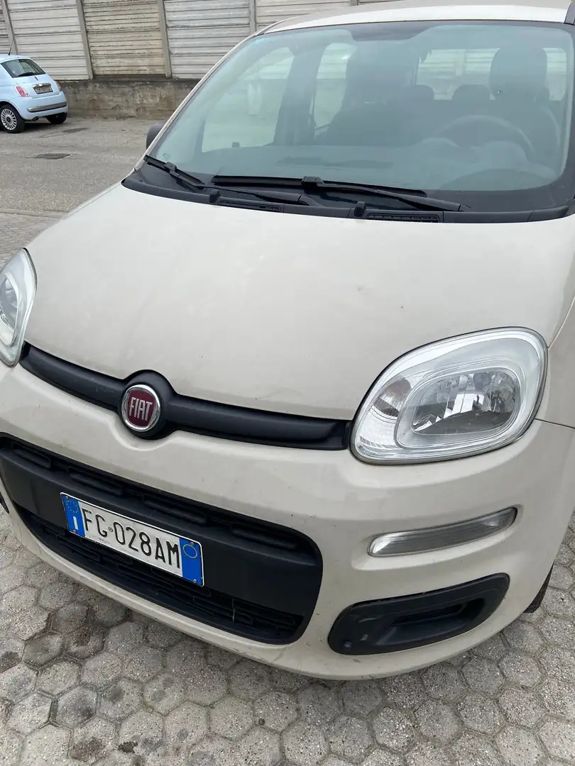Fiat Panda Panda 1.2 Lounge 69cv Beige - 2