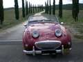 Austin-Healey Sprite MK I - Targa Oro ASI + BMIHT Rot - thumbnail 2