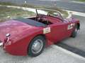Austin-Healey Sprite MK I - Targa Oro ASI + BMIHT Rot - thumbnail 6