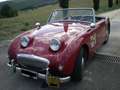 Austin-Healey Sprite MK I - Targa Oro ASI + BMIHT Rot - thumbnail 1