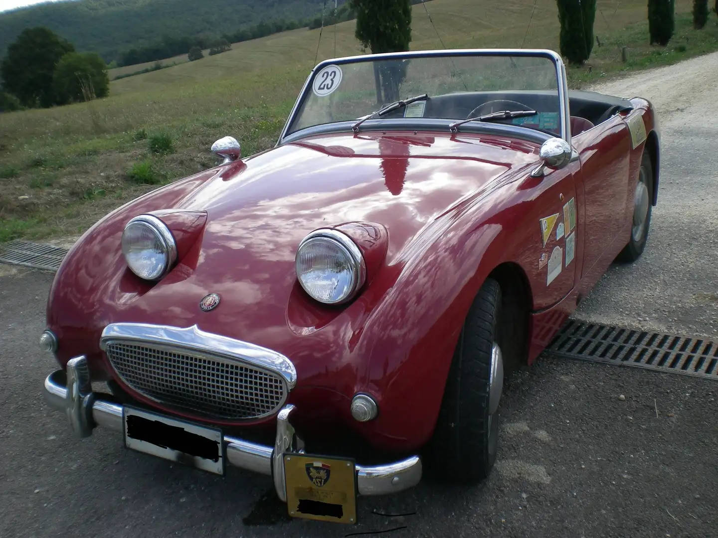Austin-Healey Sprite MK I - Targa Oro ASI + BMIHT Rot - 1