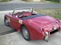 Austin-Healey Sprite MK I - Targa Oro ASI + BMIHT Rot - thumbnail 4