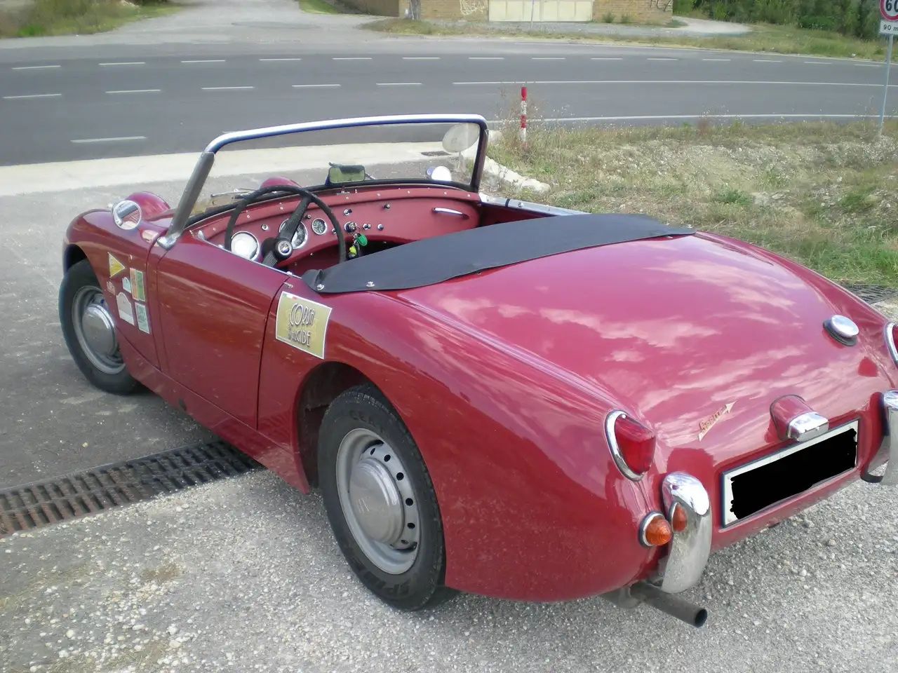 Austin-Healey Sprite MK I - Targa Oro ASI + BMIHT, foto 4