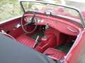 Austin-Healey Sprite MK I - Targa Oro ASI + BMIHT Rot - thumbnail 7