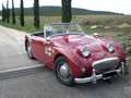 Austin-Healey Sprite MK I - Targa Oro ASI + BMIHT Rot - thumbnail 3