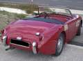 Austin-Healey Sprite MK I - Targa Oro ASI + BMIHT Rot - thumbnail 5