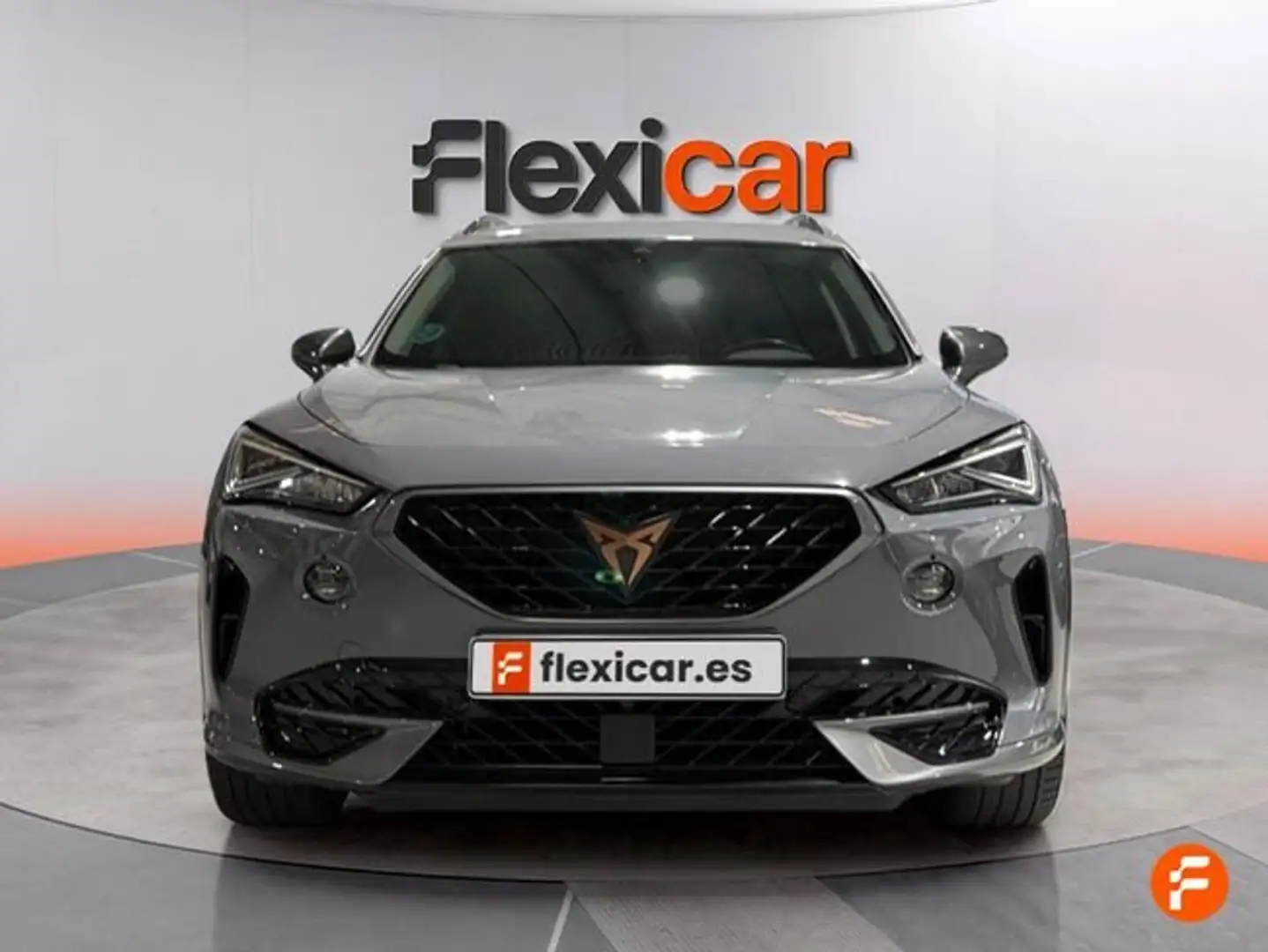CUPRA Formentor 2.0 TSI 190 DSG 4Drive Gris - 2