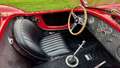 AC Cobra 427s/c 1981 Rot - thumbnail 46