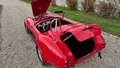 AC Cobra 427s/c 1981 Rot - thumbnail 37