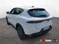 Alfa Romeo Tonale 1.6 Sprint 130cv tct6 Bianco - thumbnail 3