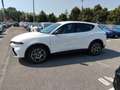 Alfa Romeo Tonale 1.6 Sprint 130cv tct6 Bianco - thumbnail 8