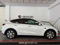 Tesla Model Y Gran Autonomía 4WD Blanco - thumbnail 11