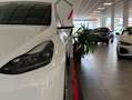Tesla Model Y Gran Autonomía 4WD Blanco - thumbnail 15