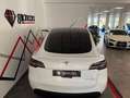 Tesla Model Y Gran Autonomía 4WD Blanco - thumbnail 20