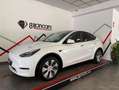 Tesla Model Y Gran Autonomía 4WD Blanco - thumbnail 1