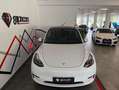Tesla Model Y Gran Autonomía 4WD Blanco - thumbnail 12