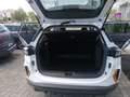 Dongfeng Shine GS 1.5 E1 dct Weiß - thumbnail 22