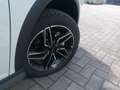 Dongfeng Shine GS 1.5 E1 dct Weiß - thumbnail 16
