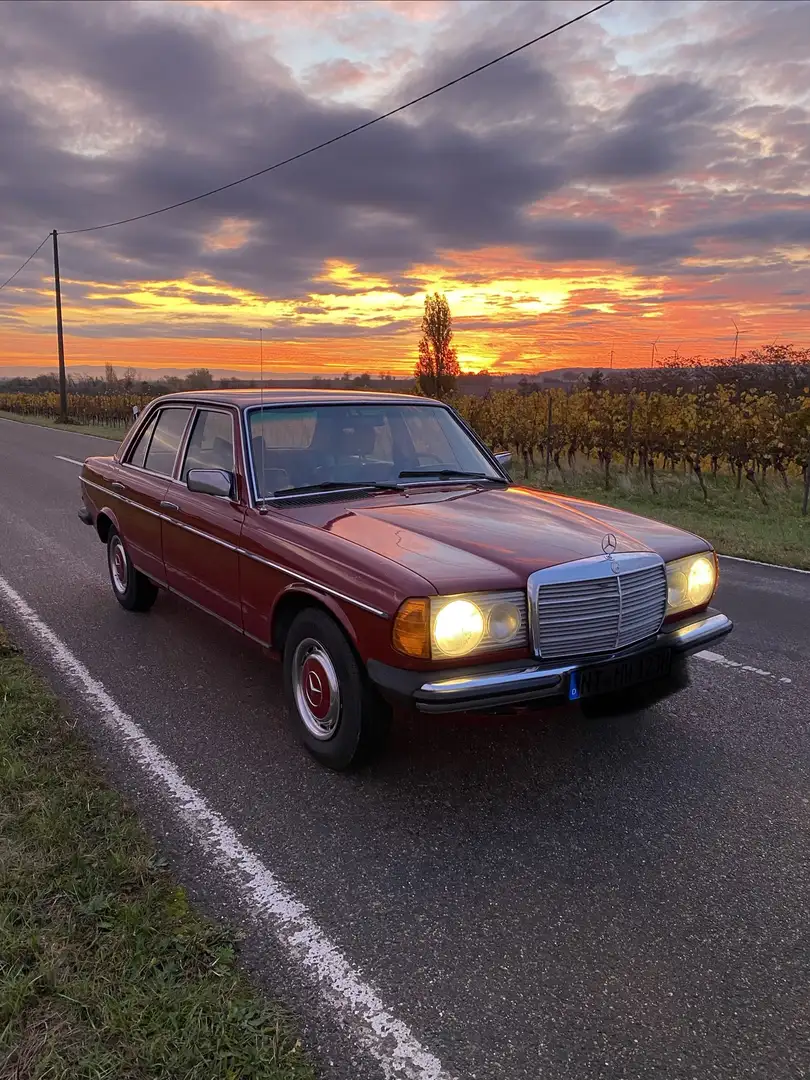 Mercedes-Benz Baureihe 123 Rot - 1