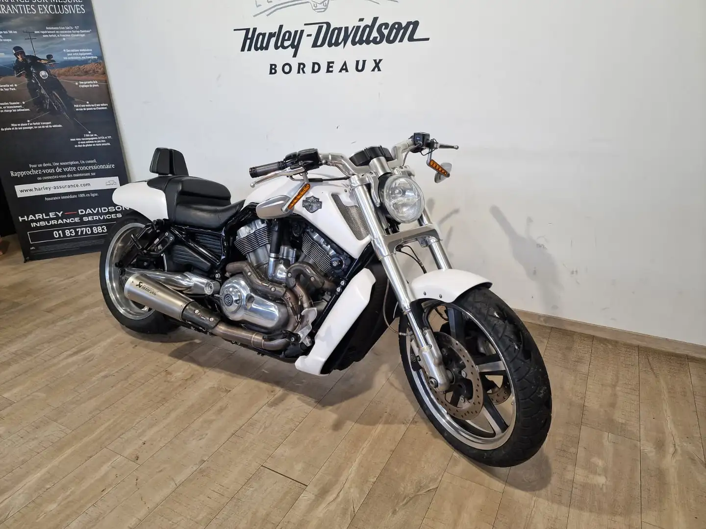 Harley-Davidson V-Rod Blanc - 2