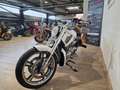 Harley-Davidson V-Rod Blanc - thumbnail 5
