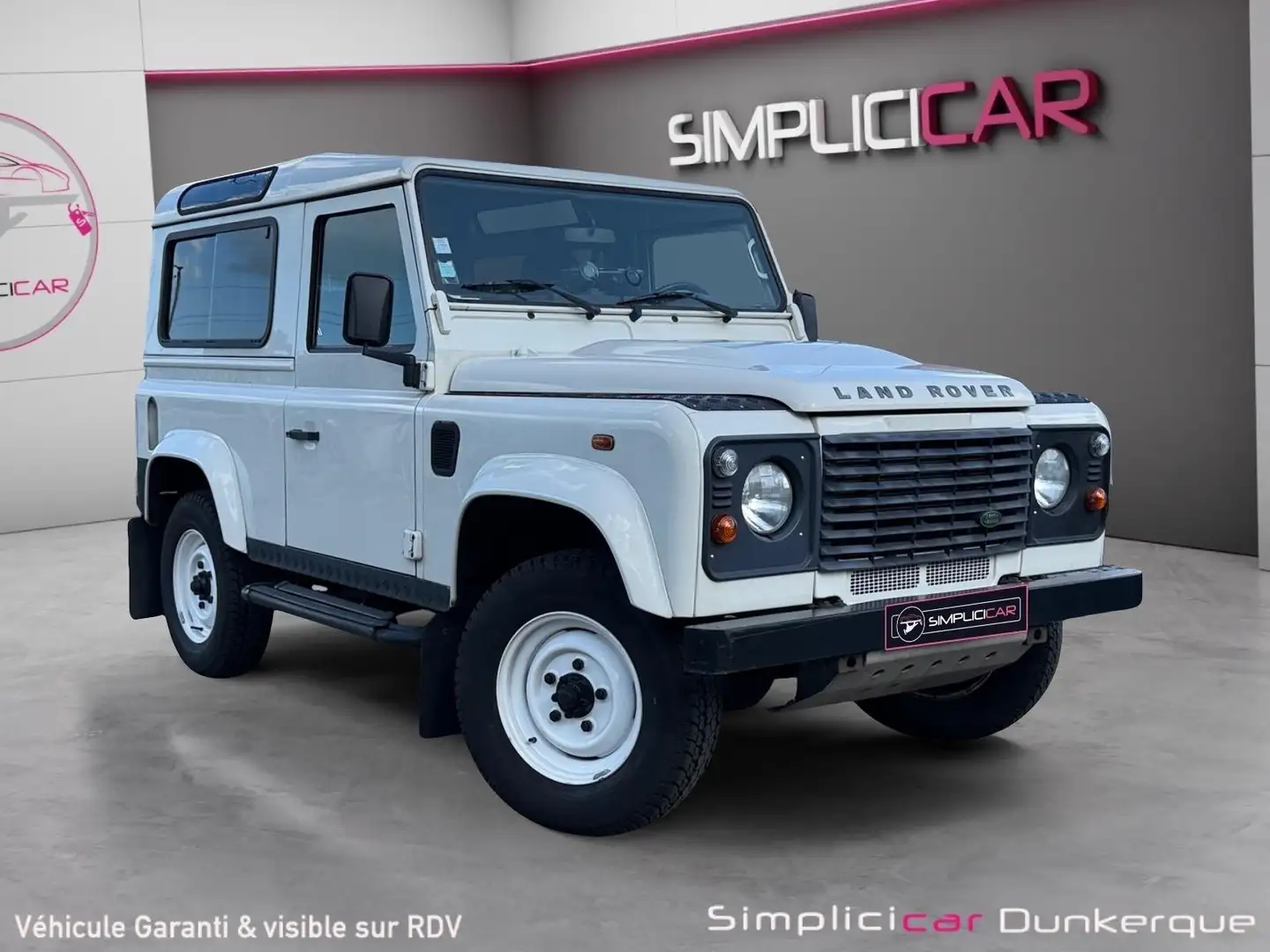 Land Rover Defender E Weiß - 1