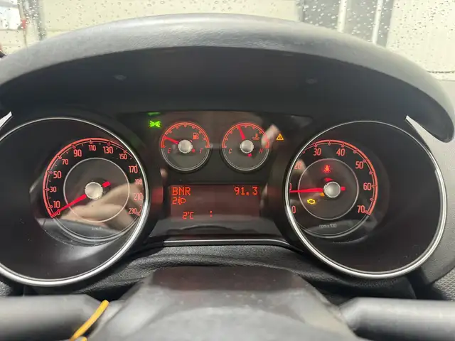 Fiat Punto Evo view 13