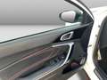Kia ProCeed / pro_cee'd GT 1.6T-GDI DCT7 Cam Tempo Climatr LED Weiß - thumbnail 14