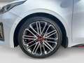Kia ProCeed / pro_cee'd GT 1.6T-GDI DCT7 Cam Tempo Climatr LED Weiß - thumbnail 5